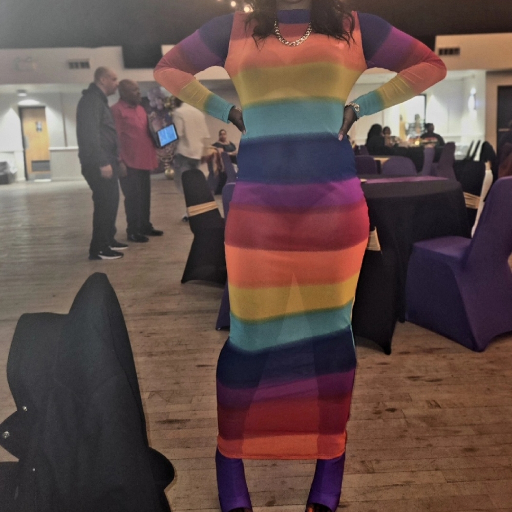 Mesh see through dress